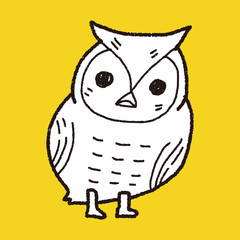owl doodle