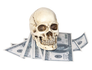 Human skull on dollar buck isolated