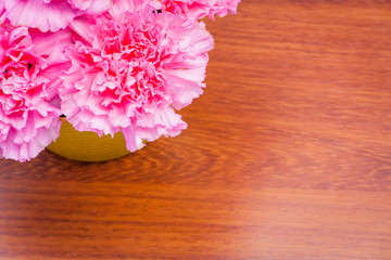 pink carnation flower on table 