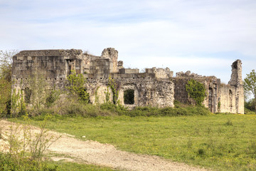 Fototapeta na wymiar Ruins of ancient palace of prince Chachba Shervashidze