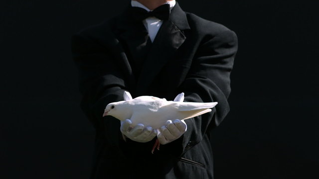 Magician releases dove from hands, slow motion