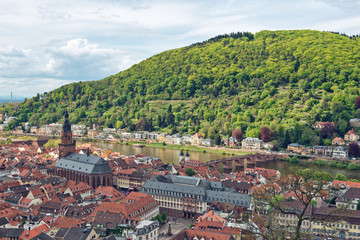 Overview of Town of Heidelberg with Old Bridge