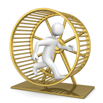 Golden Hamster Running Wheel