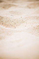 Fototapeta na wymiar Sunny sand beach