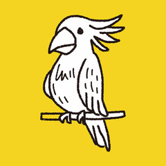 parrot doodle © hchjjl
