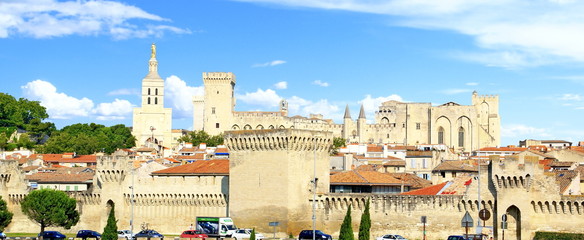 Obraz premium Avignon et le Palais des Papes