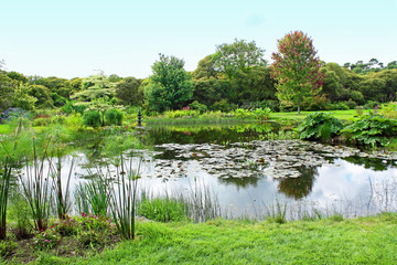 Jardin fleuri et étang