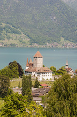 Fototapeta na wymiar Spiez, Altstadt, Schloss Spiez, Schloss, Ufer, Thunersee, See, Alpen, Schweiz
