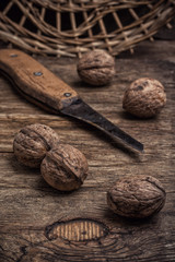 walnut