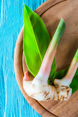 rhizome of galangal fresh.