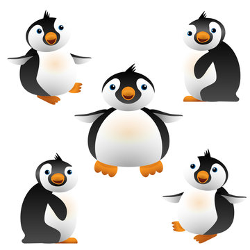 Penguins illustration
