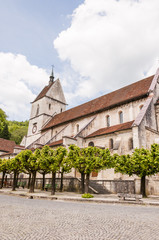 Saint-Ursanne, St-Ursanne, Altstadt, Stiftskirche, Kirchturm, Doubs, Fluss, Jura, Frühling, Schweiz