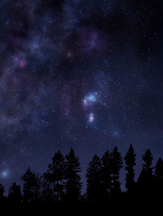 Fototapeta na wymiar Starry night sky over the forest