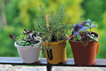 Balcony garden