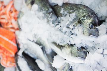 Fresh salmon fish on ice in market