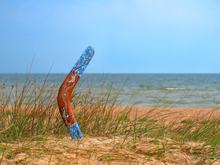 Color boomerang on overgrown sandy beach. - obrazy, fototapety, plakaty