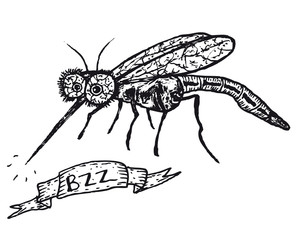 Hand drawn mosquito cartoon character