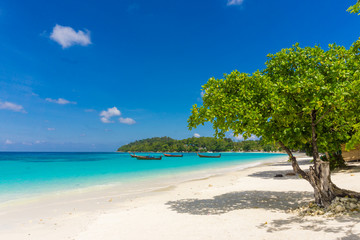 Green tree on white sand beach blue sky.