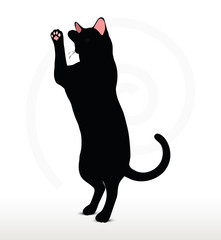 cat silhouette in Boxing pose
