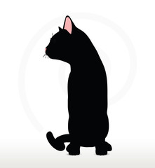 cat silhouette in Sitting pose