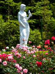 Obrazy  Ogród różany i posąg