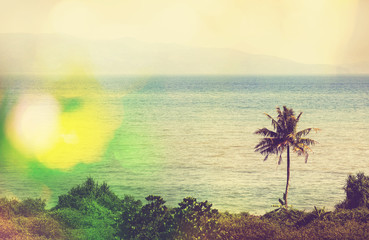 Obraz premium Tropical beach