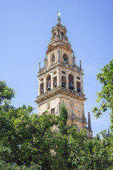 Tower of the mosque in Cordoba - Spain 