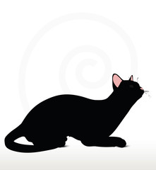 cat silhouette in Sitting pose