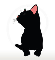 cat silhouette in Sitting pose