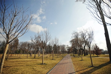 Obraz premium NOVI PETRIVTSI, UKRAINE - FEBRUARY 2014: residence of ex-presid