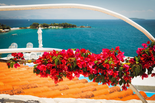  bougainvillea flowers and the view on the sea, Dassia, Corfu. Greece