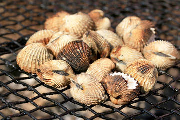 cockles on the grill.