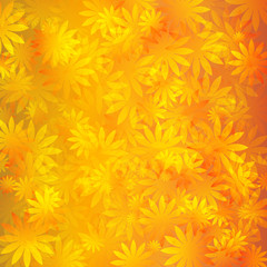 Naklejka na ściany i meble abstract vector background with summer flowers