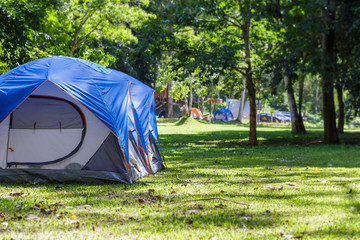 Dome tent on grass