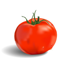 Isolated red tomato