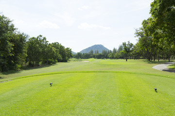widely golf  course in very nice day in summer
