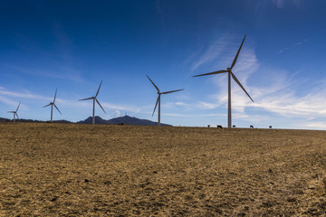 Windräder in der Steppe von Andalusien