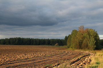 Вспаханное поле