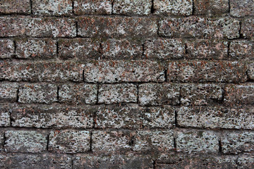 texture of old brown laterite stone vintage wall