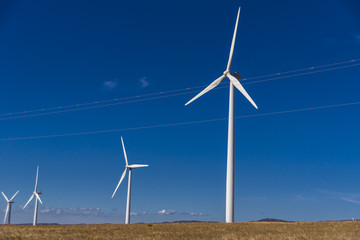 Windräder in Reih und Glied in einem spanischen Windpark