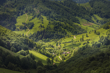 Countryside landscape during summer