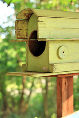 Bird house vintage