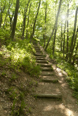 Obraz premium Auf dem Rheinsteig