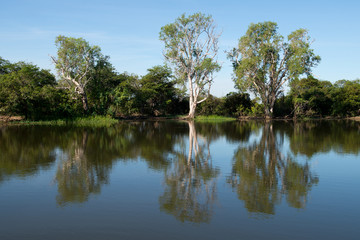 Fototapeta na wymiar Parc National de Kakadu