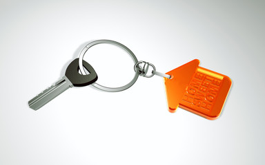 3d keys with keyring in the form of home. Sweet home.