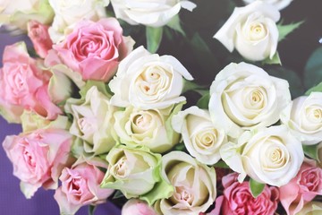 Bouquet of roses. Soft pastel colors