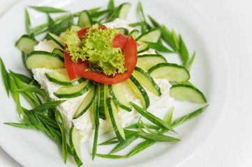 Vegetable salad with cucumbers, lettuce, tomatoes and cheese