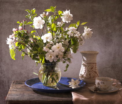 Fototapeta daffodils