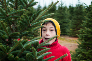 child at a cut your own Christmas tree farm