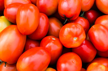 tomatoes